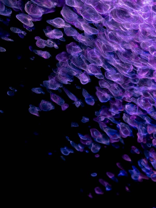 Minimalist dark illustration of energy waves and dots